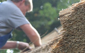 professional Coldoch thatchers